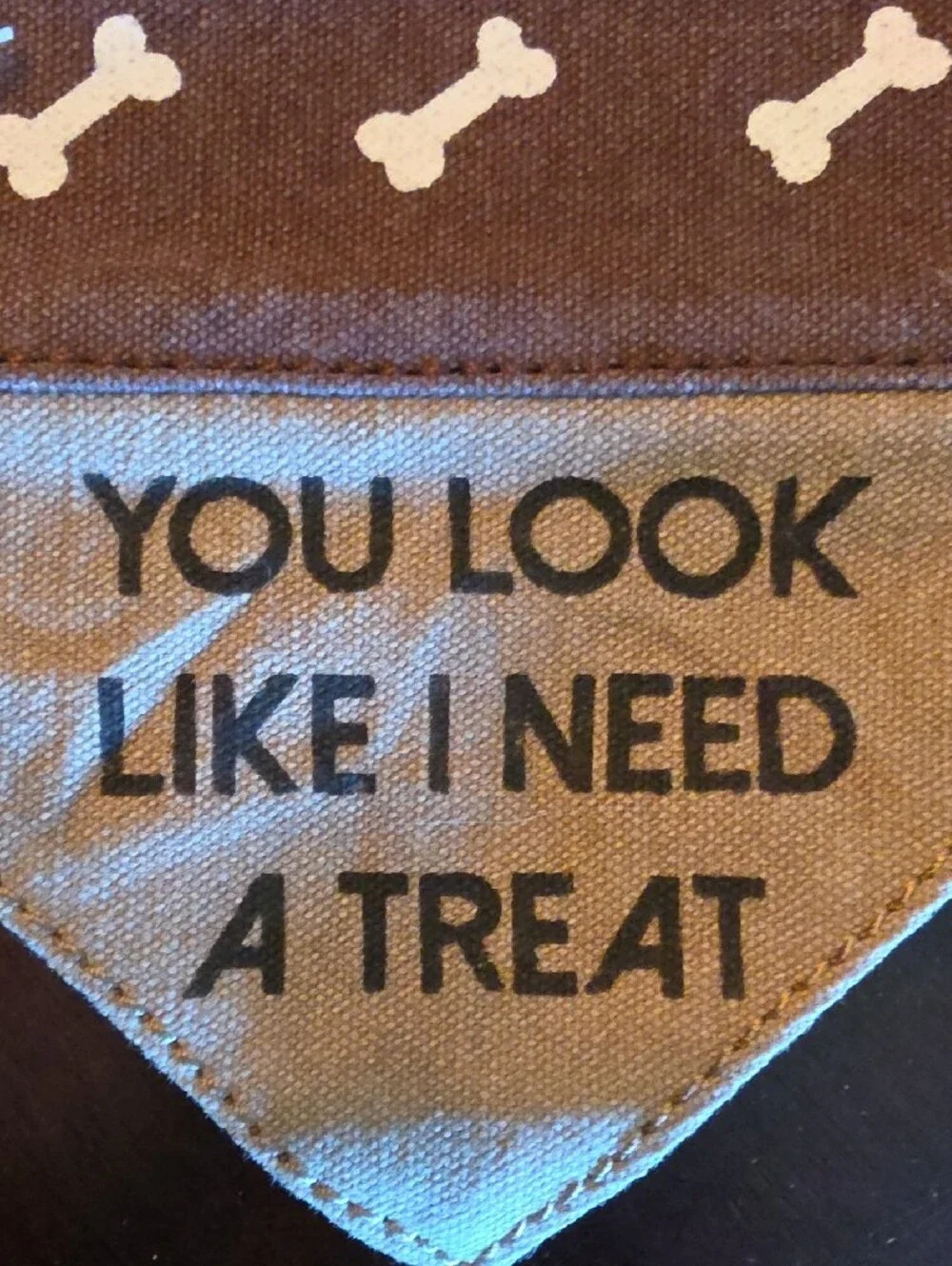 Mona B Slip-On Dog Bandana in Brown and Tan with Bone Print Treat